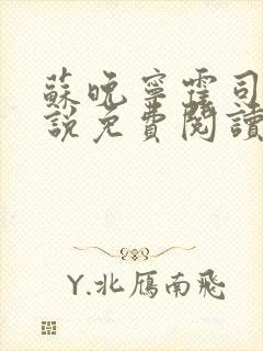 苏晚宁霍司烨小说免费阅读