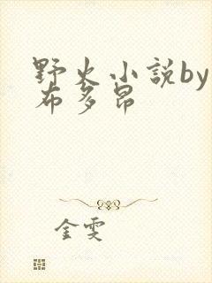 野火小说by夏布多昂