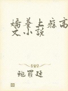 娇养上瘾高H爽文小说