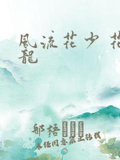风流花少 花睿龙