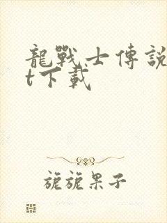 龙战士传说txt下载