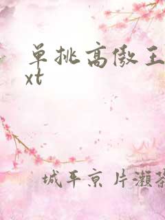 单挑高傲王子txt