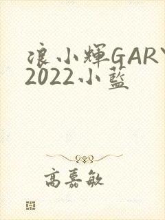 浪小辉GARY2022小蓝