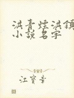 洪青烟洪镇国的小说名字