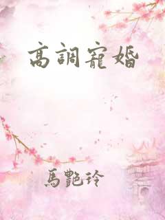 高调宠婚