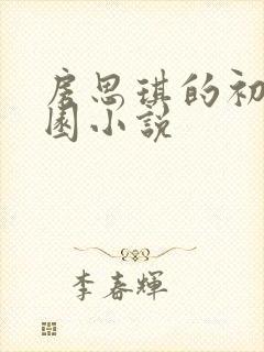 房思琪的初恋乐园小说