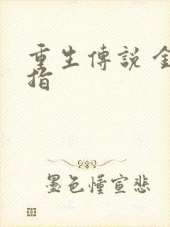 重生传说 金手指
