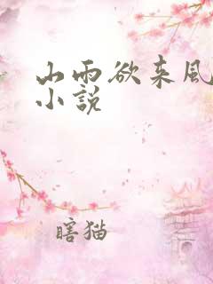 山雨欲来风满楼小说