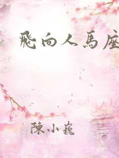飞向人马座