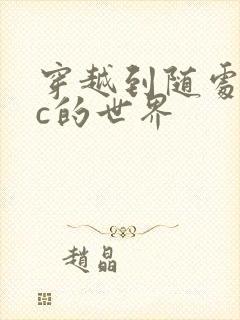 穿越到随处可以c的世界