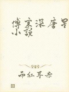 傅寒深唐星挽的小说