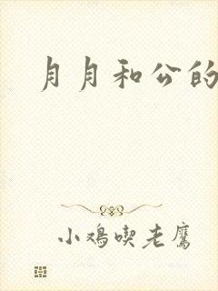 月月和公的恋情