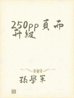 250pp页面升级