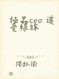 极品ceo 追爱绿眸