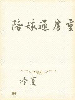 陪嫁通房重生记