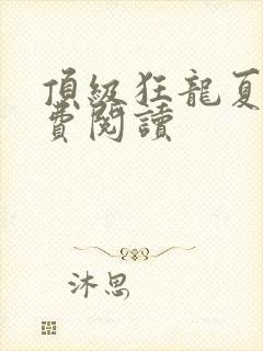 顶级狂龙夏天免费阅读