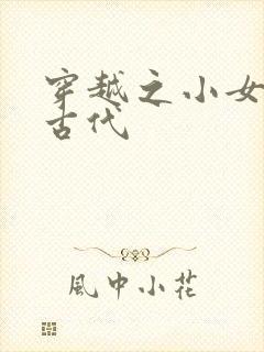 穿越之小女子闹古代