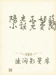 阳光正好苏玥玥小说免费阅读无弹窗