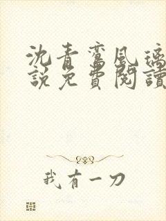 沈青鸾风璃宸小说免费阅读