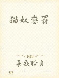 猫奴惩罚
