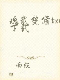 魂武双修txt下载