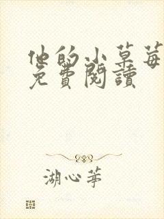 他的小草莓全文免费阅读