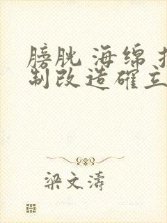 膀胱 海绵 控制改造确立m