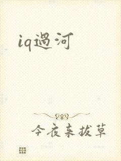iq过河