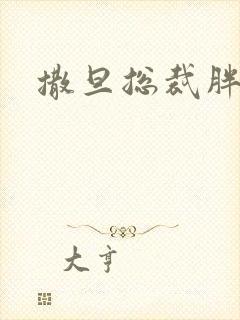 撒旦总裁胖前妻