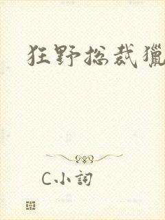 狂野总裁猎逃妻