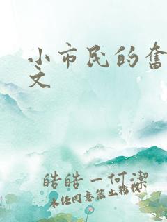 小市民的奋斗燃文