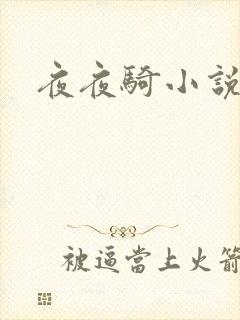 夜夜骑小说
