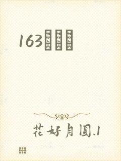 163ͬѧ¼