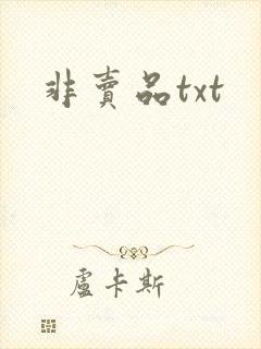 非卖品txt