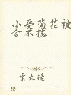 小受菊花被双龙合不拢