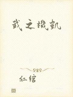 武之机凯