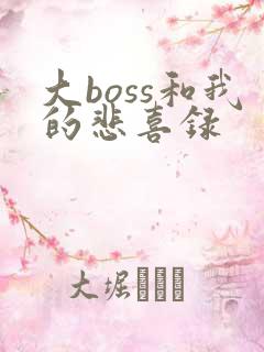 大boss和我的悲喜录