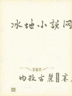 冰地小说网