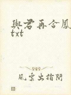 与君再合凤求凰txt