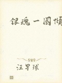 银魂一国倾城篇