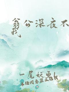 翁公深夜不停要我