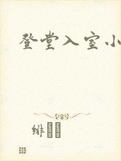 登堂入室小说