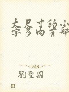 大尺寸的小黄说字多肉有哪些