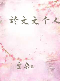 于文文个人简历