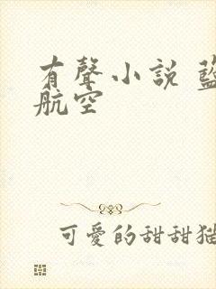 有声小说 蓝天航空