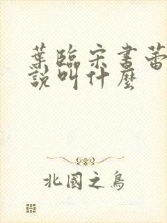 叶临宋书蕾的小说叫什么