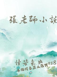 张老师小说