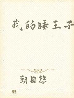 我的睡王子殿下