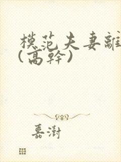 模范夫妻离婚了(高干)