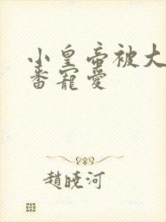 小皇帝被大臣轮番宠爱